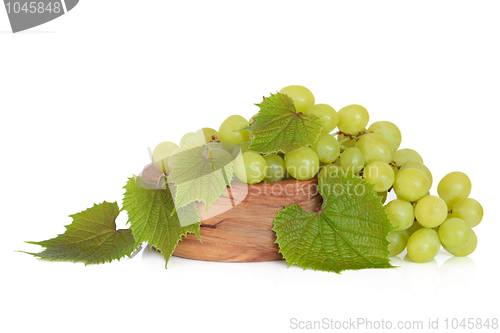Image of Grapes on the Vine