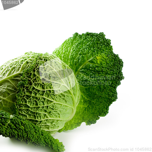 Image of fresh savoy cabbage