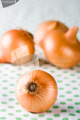 Image of ripe onions