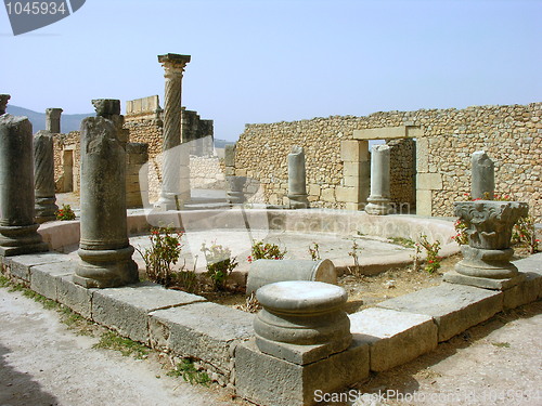Image of Volubilis Ruins