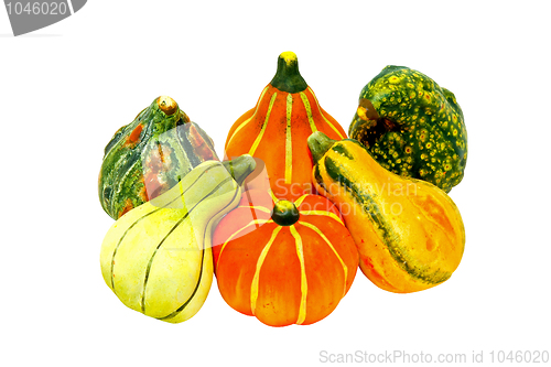 Image of Gourds isolated