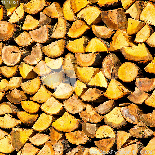 Image of Firewood