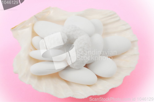 Image of Wedding comfit in a shell