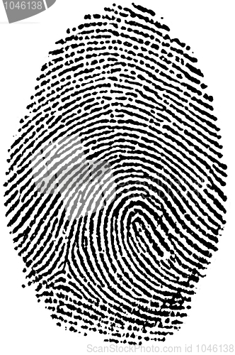 Image of Black and White Fingerprint