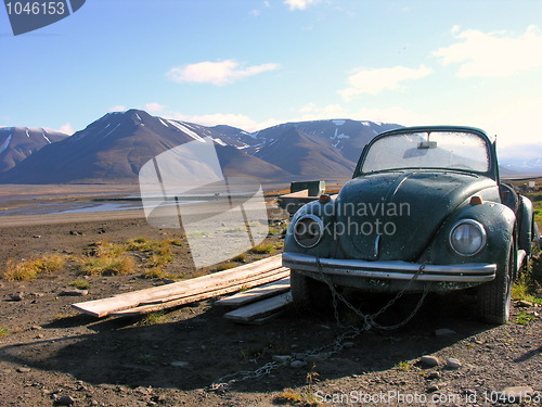 Image of Svalbard abandoned Beetle