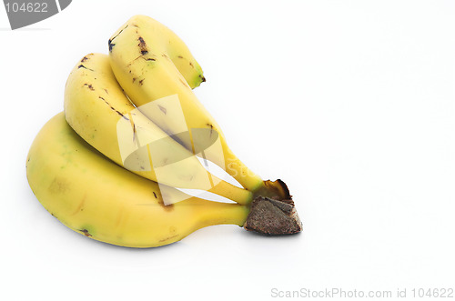 Image of Bananas