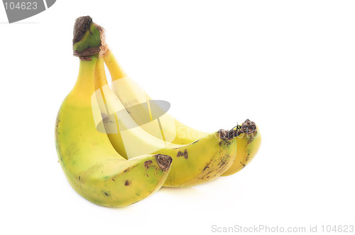 Image of Bananas
