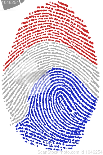 Image of Dutch flag Fingerprint