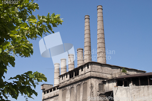 Image of Old Factory and green Tree