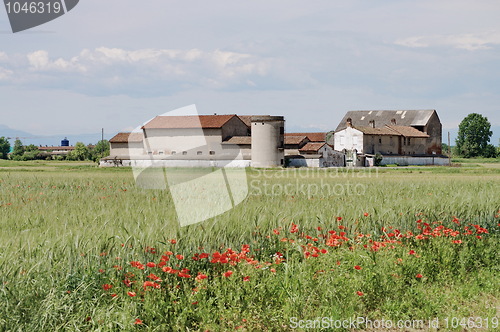 Image of Growing wheat in a barn