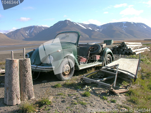 Image of Svalbard abandoned Beetle