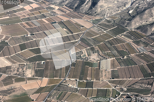 Image of Agriculture in Spain