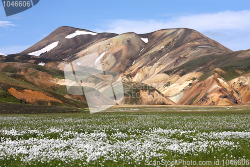 Image of Iceland - Landmannalaugar