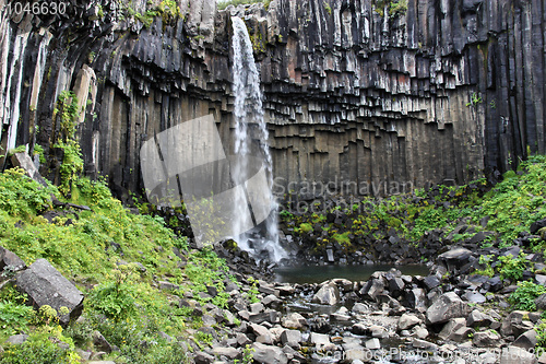 Image of Svartifoss - Iceland