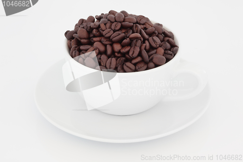 Image of Coffee Bean Aroma