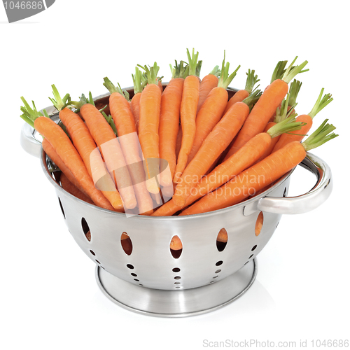 Image of  Baby Carrot Vegetables