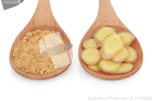 Image of Ginger Spice