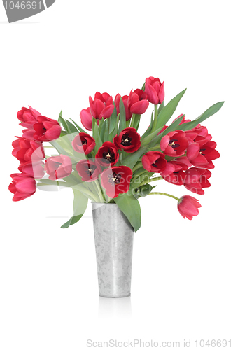 Image of Tulip Flower Beauty