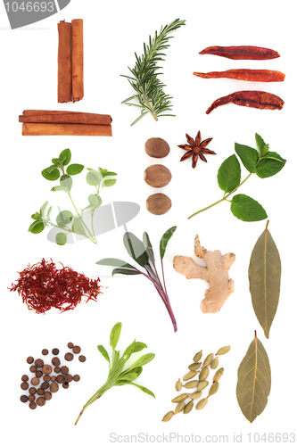 Image of Spice and Herb Selection