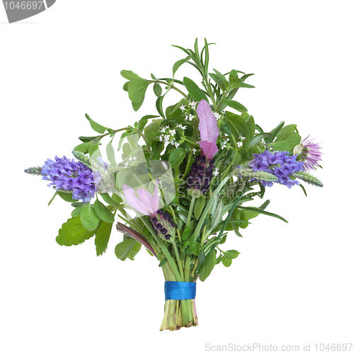 Image of Herb Flower Posy