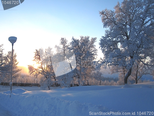 Image of Frosty landscape