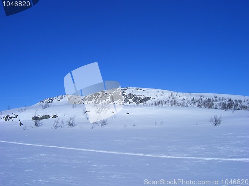 Image of Norwegian winter