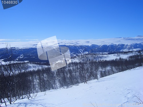 Image of Winter landscape