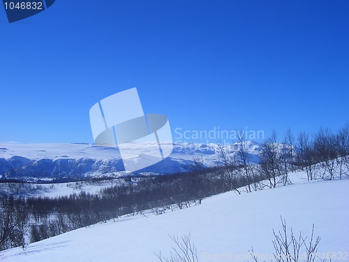 Image of Snow covered mountains