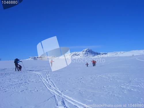 Image of Cross-country skiing