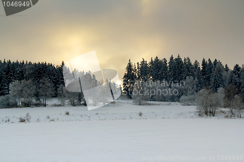 Image of Winter landscape with sunset over frozen trees 