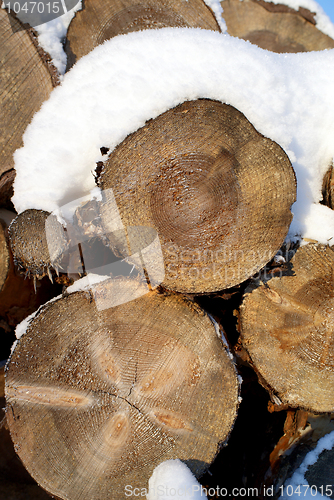 Image of Pine Logs Snow Background Vertical