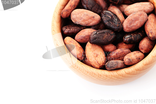 Image of cocoa beans
