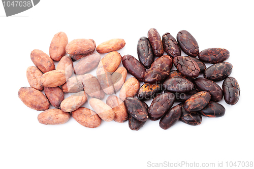 Image of cocoa beans