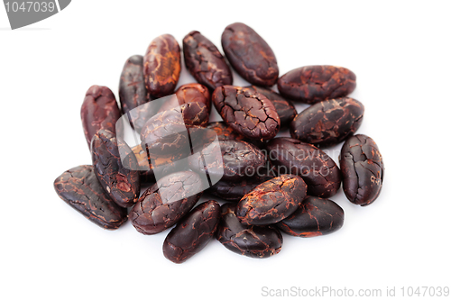 Image of cocoa beans