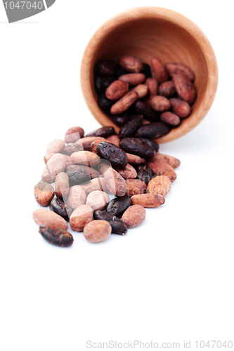 Image of cocoa beans