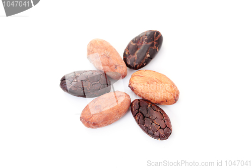 Image of cocoa beans