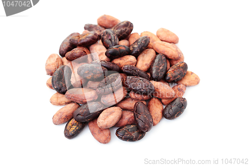 Image of cocoa beans