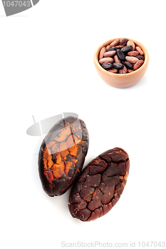 Image of cocoa beans