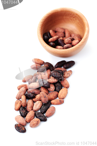 Image of cocoa beans
