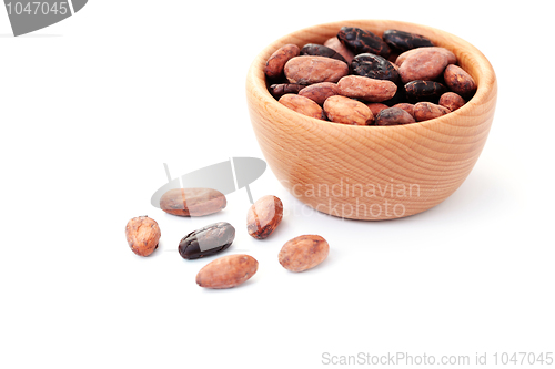 Image of cocoa beans