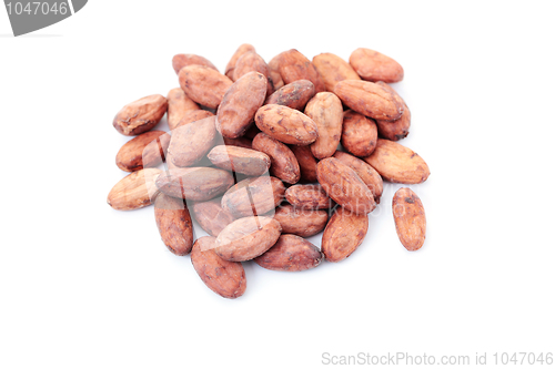 Image of cocoa beans