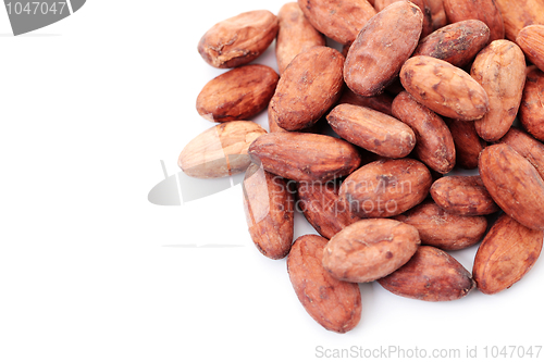 Image of cocoa beans