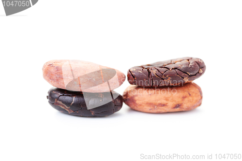 Image of cocoa beans