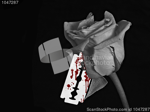 Image of Bloody Rose