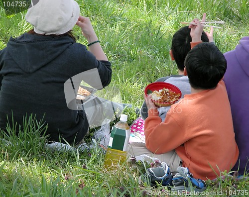 Image of Family picnic