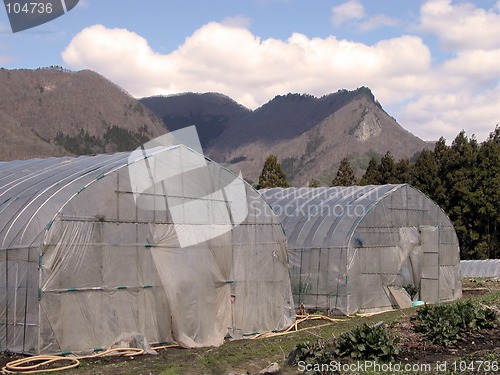 Image of Glasshouses