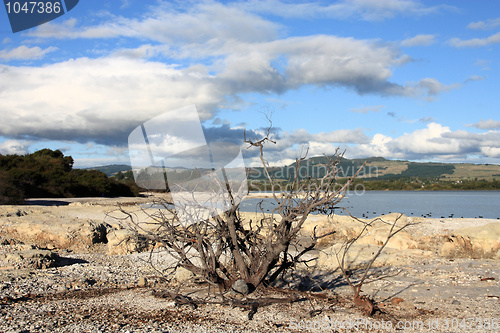 Image of Lake in New Zealand