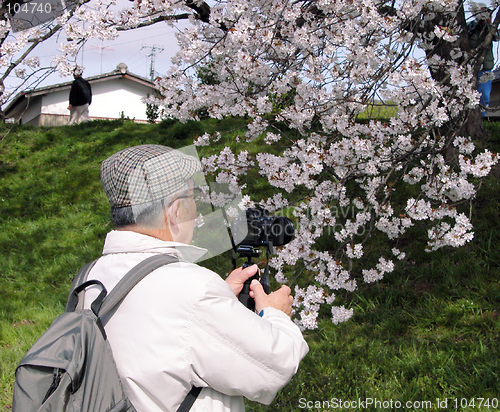 Image of Spring shooting season