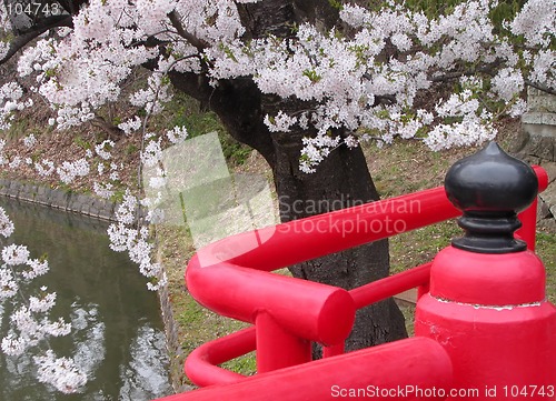 Image of Japanese spring bridge