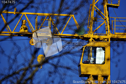 Image of Yellow Crane